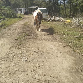 検査終わって。の画像