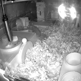 がじがじ・・・の画像