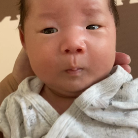 ふがふが。の画像