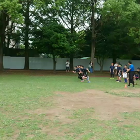 ６月１日学年別インターバル動画⑥の画像