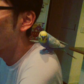 飛びます飛びます。の画像