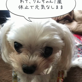 当たりますように！の画像