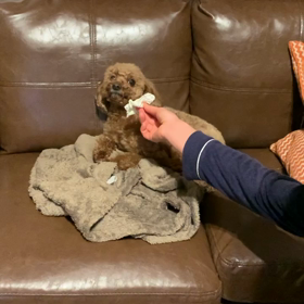 しらばっくれてる？の画像