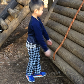 森の公園満喫中(*´∀`)♪の画像