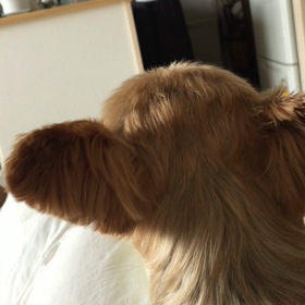 しゃ  べってる⁉️の画像