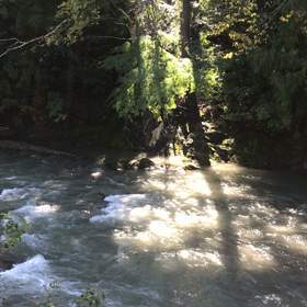 先日の奈良の動画②丹生川の画像