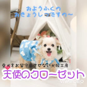 6月の天使のクローゼット体験コースの画像