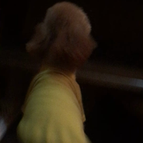 トイプードルの可愛い階段上がりの巻♪( ´▽｀)の画像