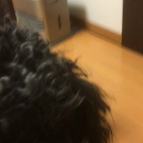 福は〜お腹の中♡の画像