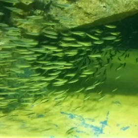 おうち時間の画像