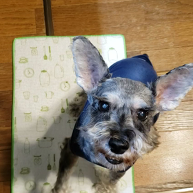 ご飯〰️の画像