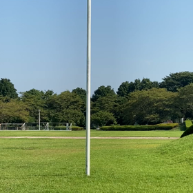 ジーーーーーーーーの画像