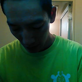 尻切れトンボの画像