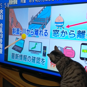 やっぱり棒が好きっの画像