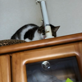 LINE活用！デールに遊ばれる朝、の画像