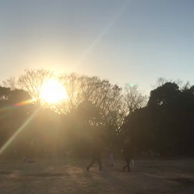 ♪お散歩動画♪代々木公園♪②の画像