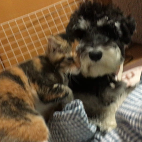 苦節3か月！の画像