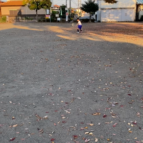 仕事や再婚…の画像