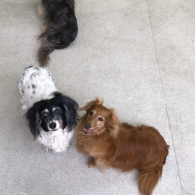 ♪プレイルーム動画♪②の画像