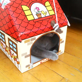 なまくら遊び　※音出ます♪ご注意くださいませの画像