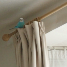 急に真夏日(^_^;)の画像