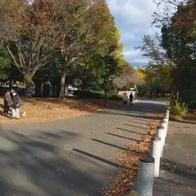 1500m ゴール②の画像