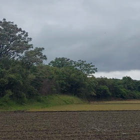 梅雨みたいな空模様だねの画像