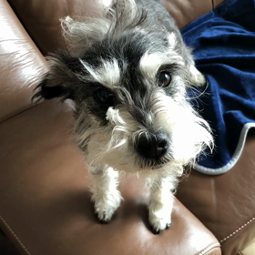 おかえりの画像