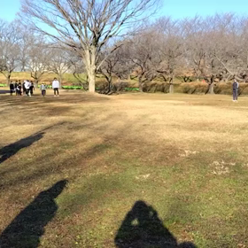 1/6 クロカンダッシュ⑧の画像