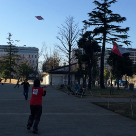 凧上げ④の画像