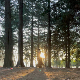 パラレルワールドを増やす✨すぐ横に別世界は本当にあるの画像