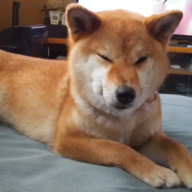 悪い顔。の画像