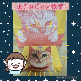 ねこちゃん！の画像