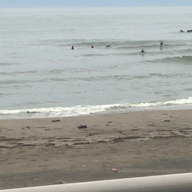 今朝の15分の波乗りより、、、の画像