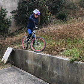 部長は今日も元気ですの画像