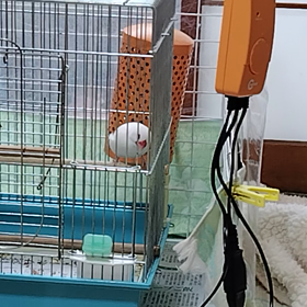 つぶちゃんのチャント！チャレンジの画像