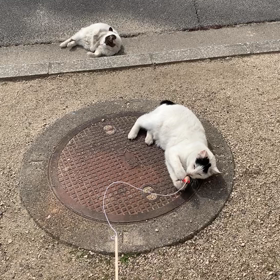 おもちゃで遊ぶの画像