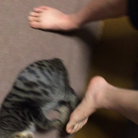 身勝手だぞの画像