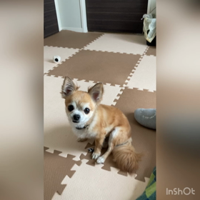 ジョージ君、2日目♪の画像