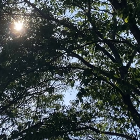 介護記録１００（さっきの女の子は？）の画像