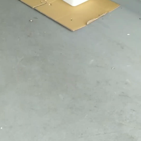 またまた燕の画像