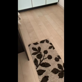 シロクマの食事風景の画像