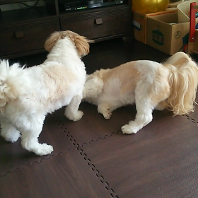 元気ですよの画像