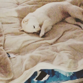 おやすみ前のルーティンの画像