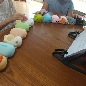 夏のレッスンでは…その２の画像