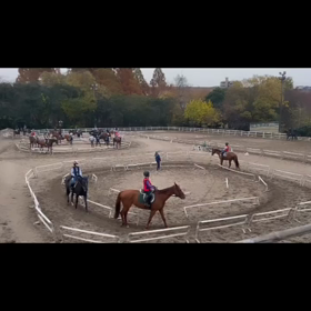 誘導と姿勢の画像