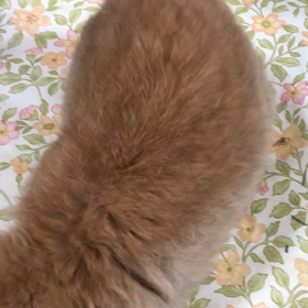 薬は大好きの画像