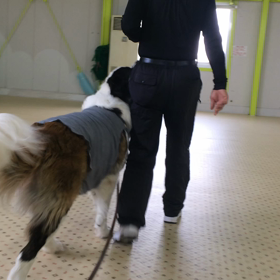 ゆきちゃんの画像