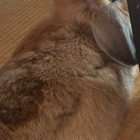 風がすき♡の画像