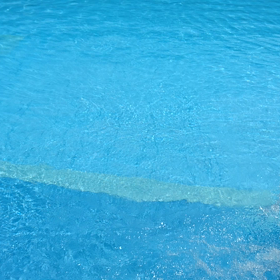 再び涼みにの画像